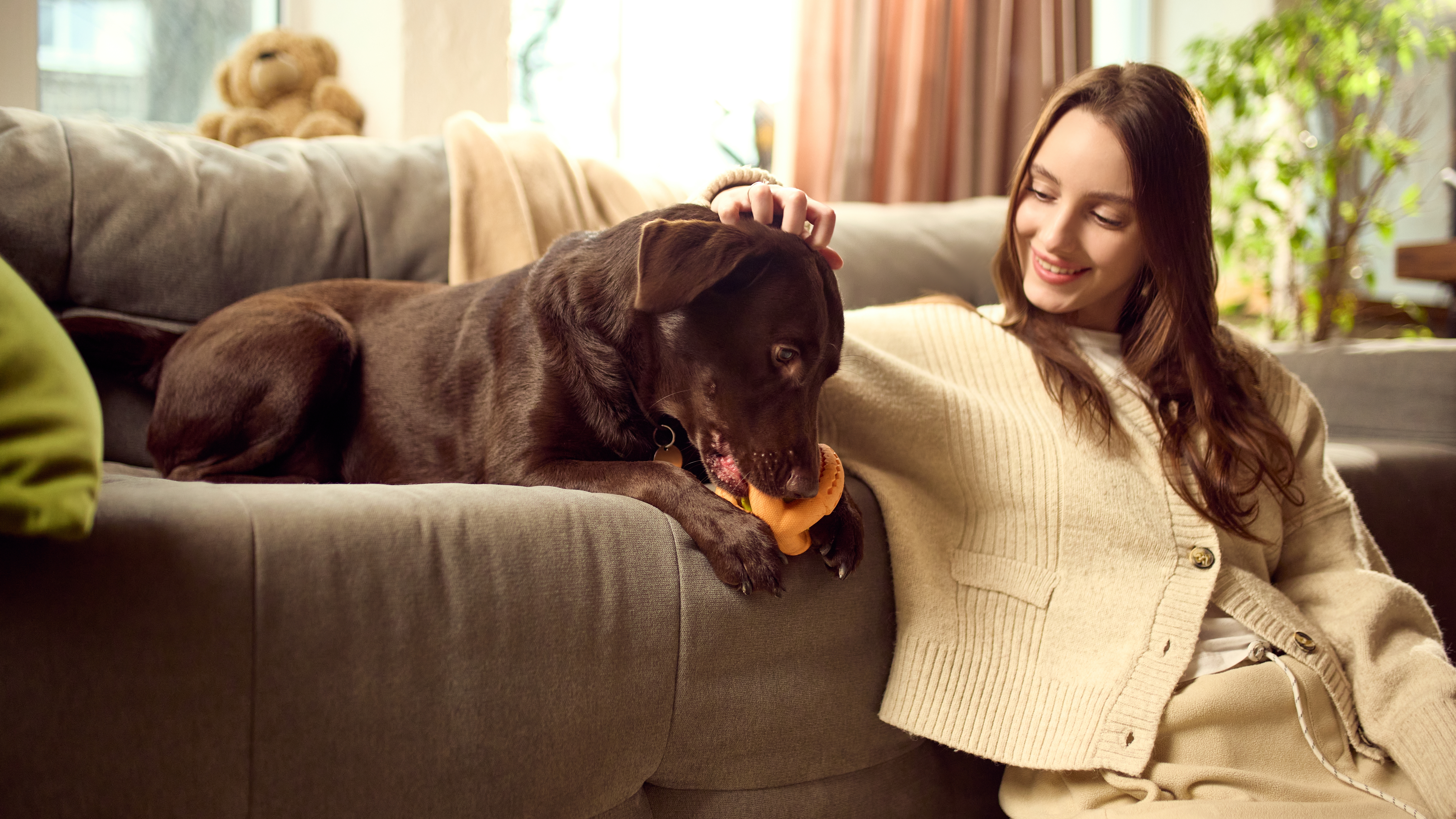 Faut-il prendre une assurance pour son chien en 2026
